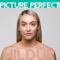 Picture Perfect (Single)