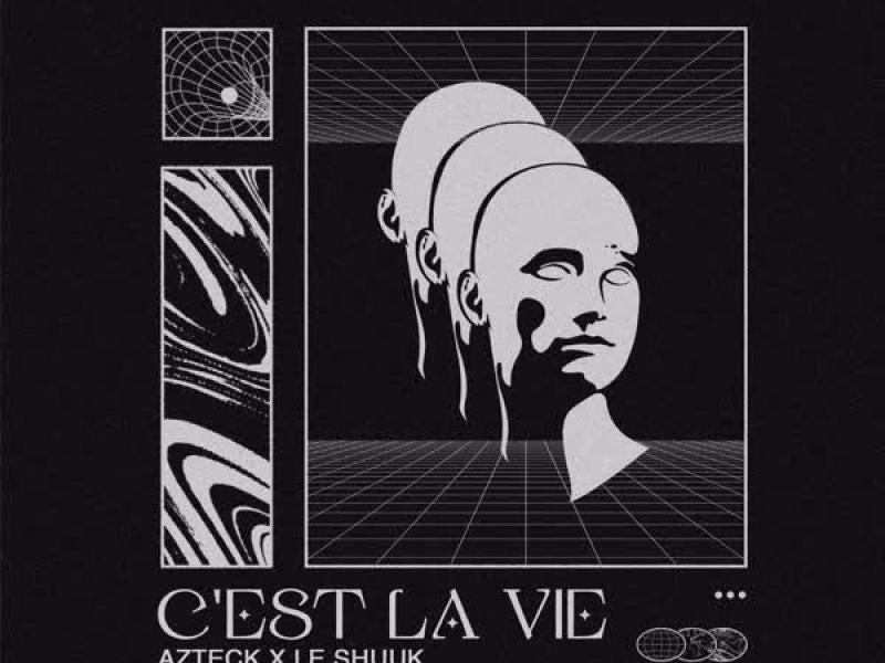 C'est La Vie (Single)