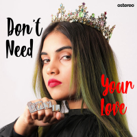 Don't Need Your Love (Single)