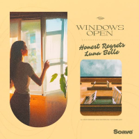 Windows Open (Single)
