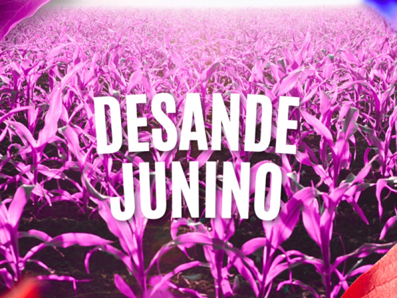 DESANDE JUNINO (Single)