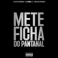 Mete Ficha do Pantanal (Single)