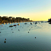 Marée Haute (Single)