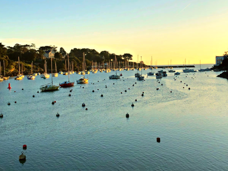 Marée Haute (Single)