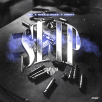 Slip (Single)