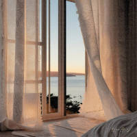 カーテン (Single)