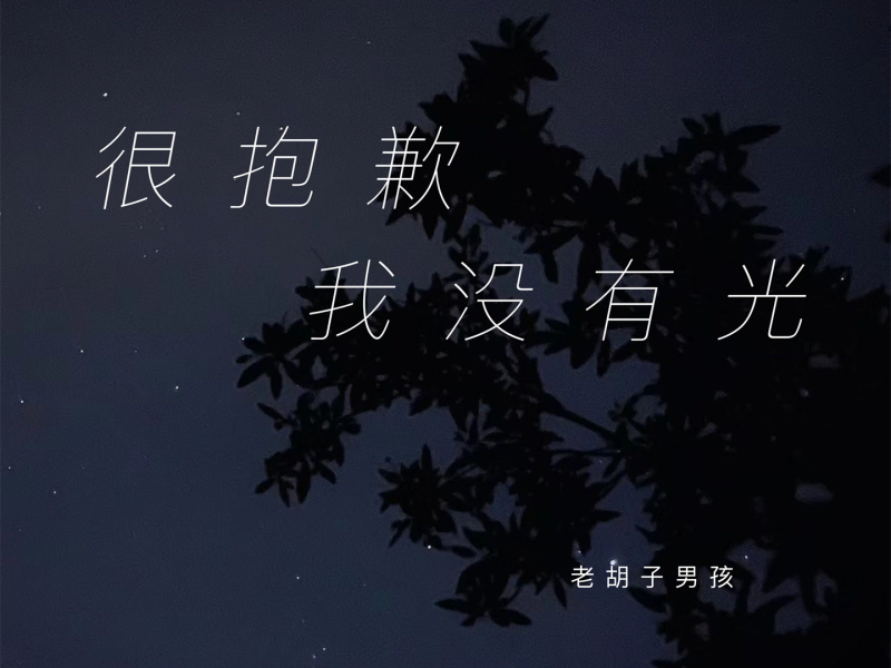 很抱歉我没有光 (Single)