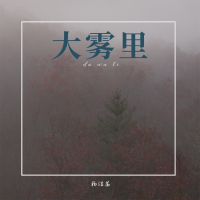 大雾里 (DJ版) (Single)
