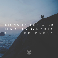 Lions in the Wild (Single)