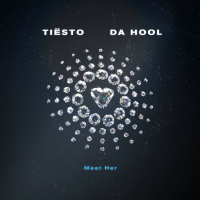 Meet Her (Tiësto vs. Da Hool) (Single)