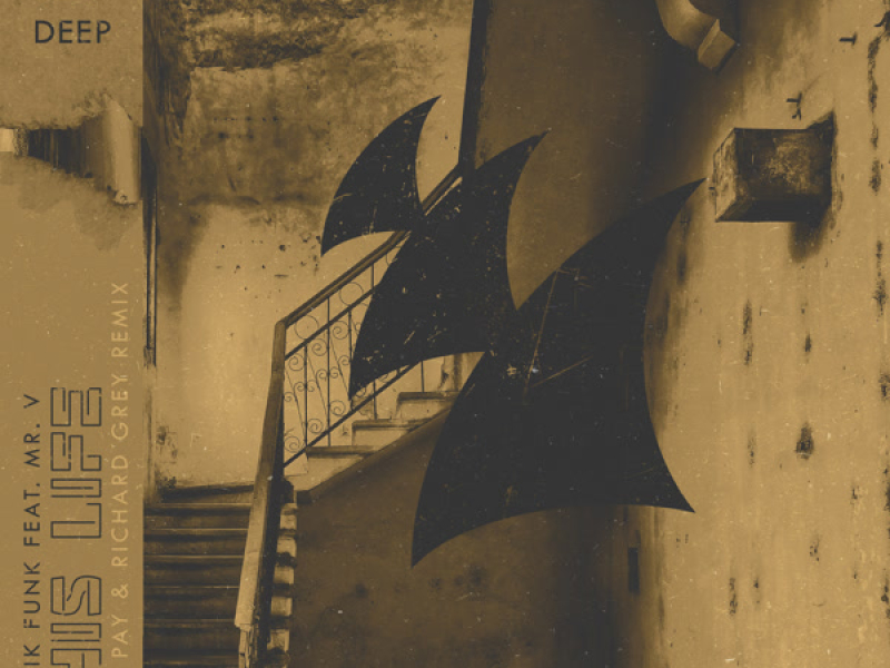 The Life (Eddie Pay & Richard Grey Remix) (Single)