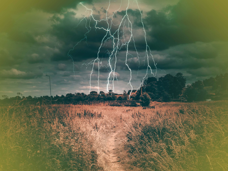 Sounds of Rain with Thunder for Instant Stress Relief (Single)