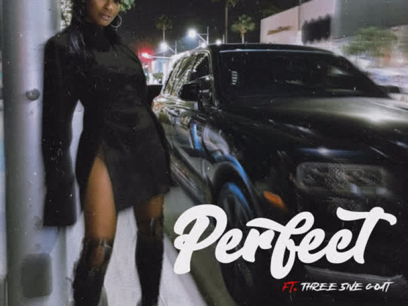 Perfect (feat. Three5ive Goat) (Single)