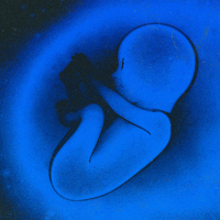 Ossos do ofício (Single)