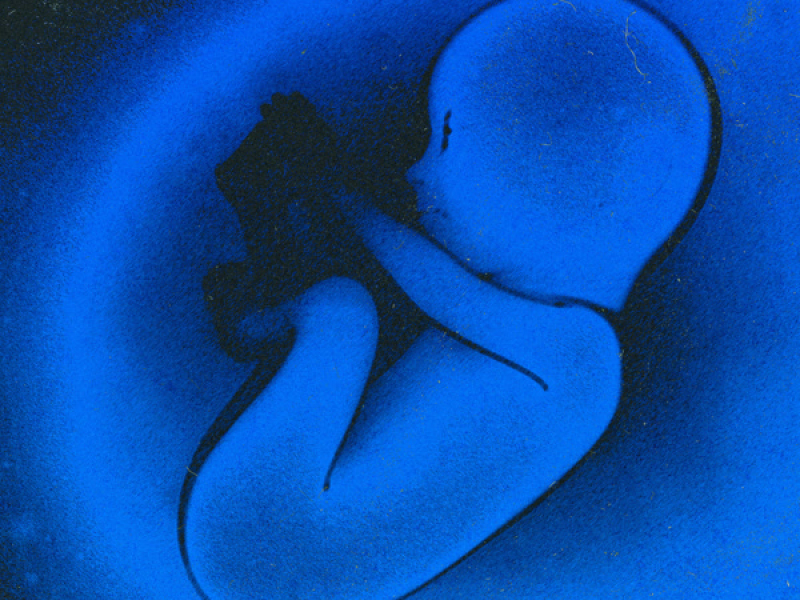 Ossos do ofício (Single)