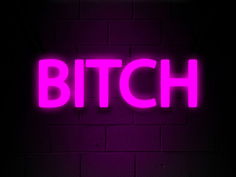 Bitch (Single)