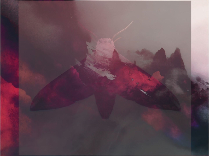 This Fog That Never Ends