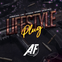 Lifestyle Plug (Single)