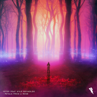 Petals from a Rose (Single)