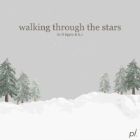 Walking Through The Stars (Single)