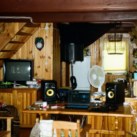 BRZÓZE DUŻE FREESTYLE (Single)