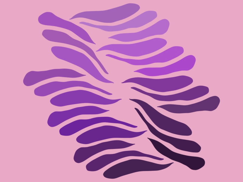 Chasing the Open Skies (Single)