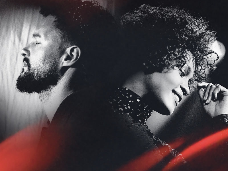 I Wanna Dance With Somebody (Who Loves Me) (Single)