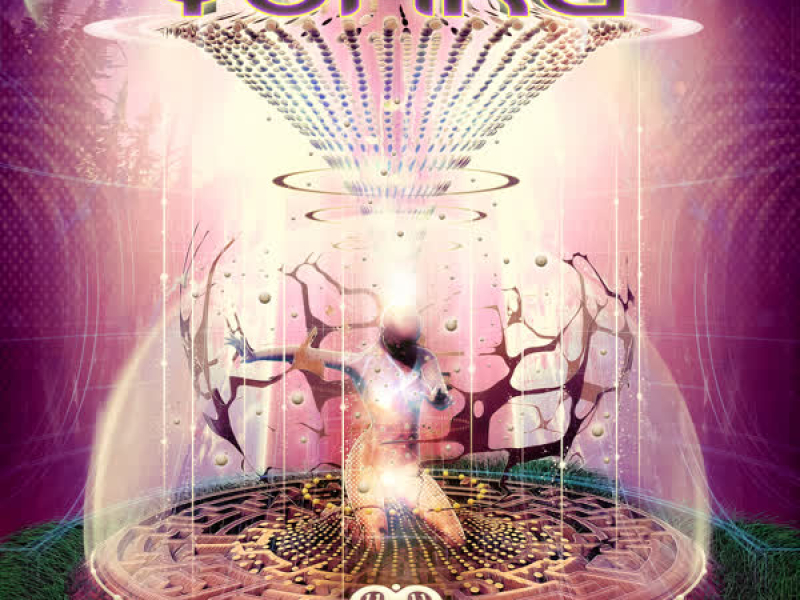 Synchronicity (Single)