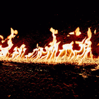 Chanel Maconha (Single)