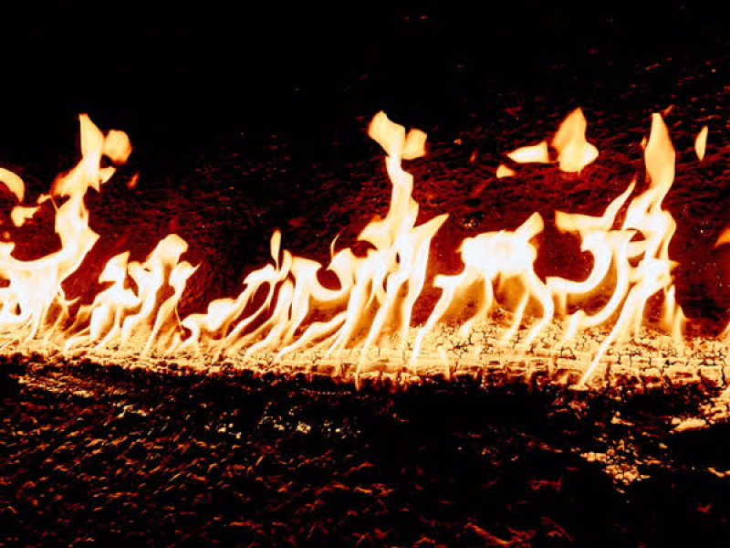 Chanel Maconha (Single)