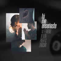 Tu Me Enseñaste (Single)