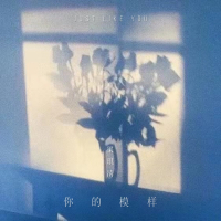 你的模样 (Single)
