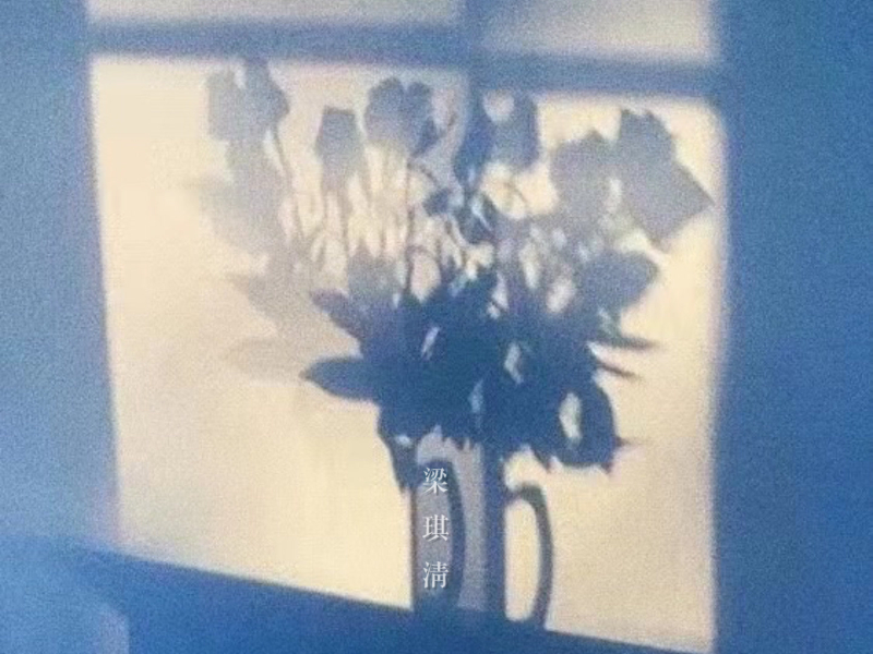 你的模样 (Single)