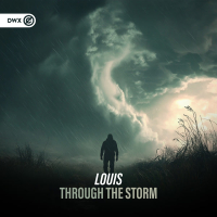 Through The Storm (Single)
