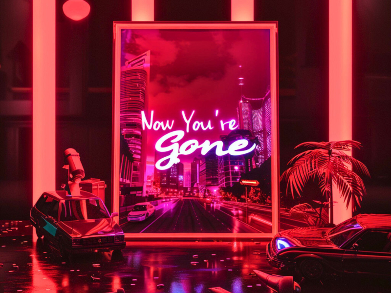 Now You're Gone (Hardstyle) (Single)