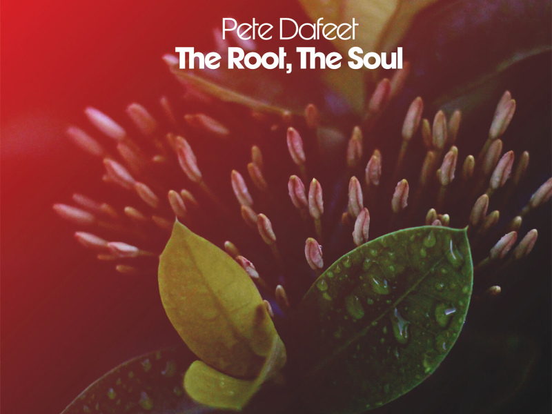 The Root, the Soul