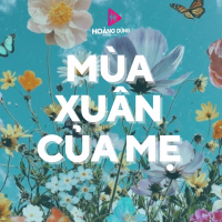 Mùa Xuân Của Mẹ