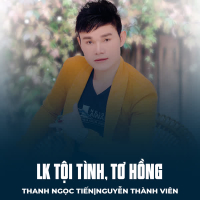 LK Tội Tình, Tơ Hồng (Single)