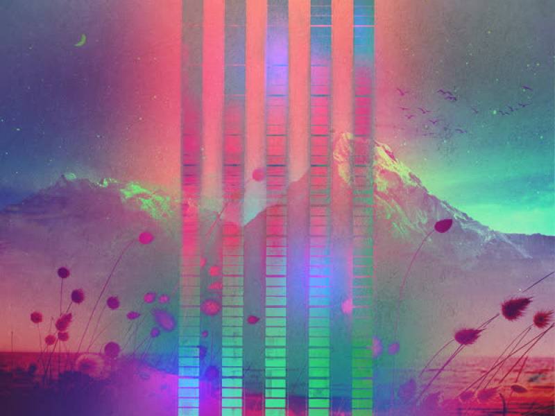 Landscapes & Dimensions