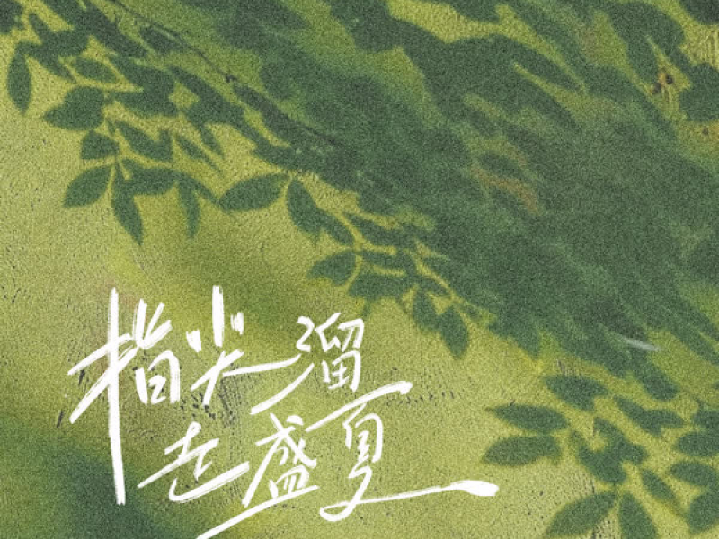 指尖溜走盛夏 (Single)