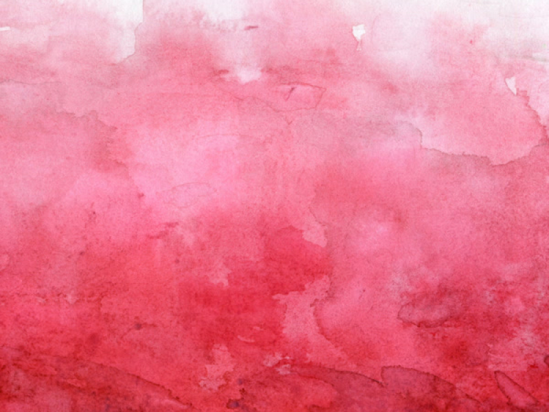 Memphis Slim and Willie Dixon at the Village Gate