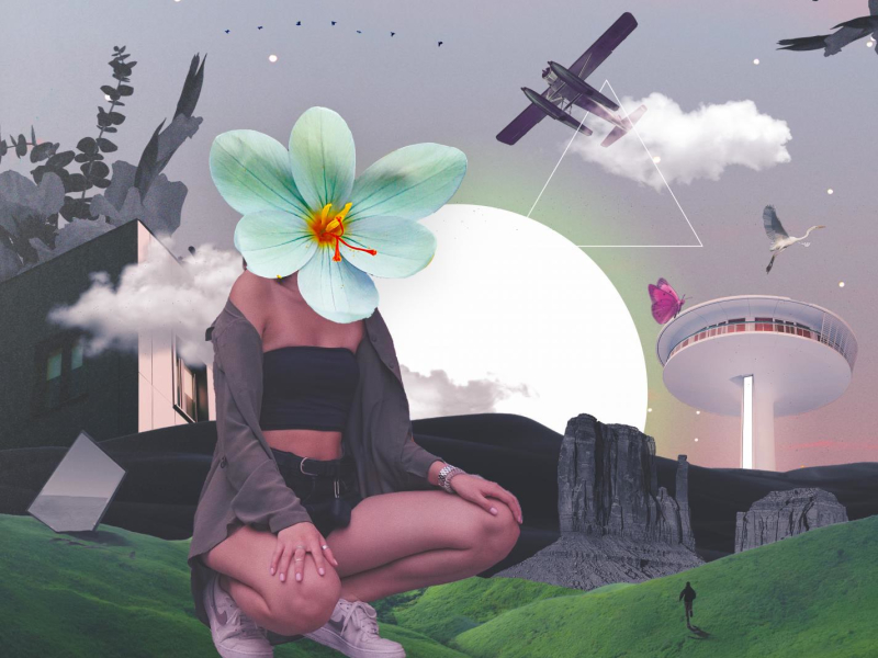 Echo (feat. AVY X) [Chaël Remix] (Single)