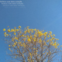 Brinca Com Meu Coração (Single)