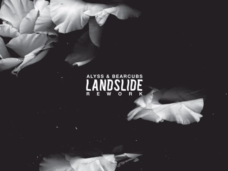 Landslide (Alyss & Bearcubs Rework) (Single)