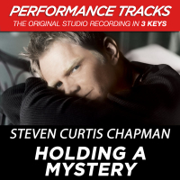 Holding A Mystery (Performance Tracks) (Single)