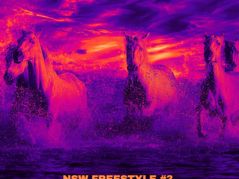 NSW FREESTYLE #3 (Single)