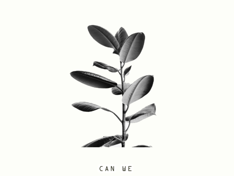 Can We (Single)