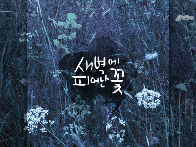 새벽에 피어난 꽃 (Single)