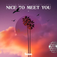 Nice To Meet You (Single)