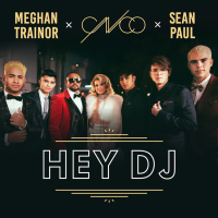 Hey DJ (Remix) (Single)
